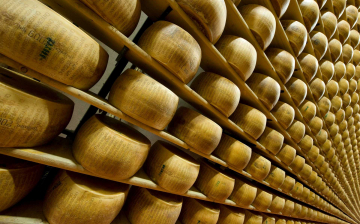 PRIMO SEMESTRE 2022 IN POSITIVO PER LA DOP PARMGIANO REGGIANO