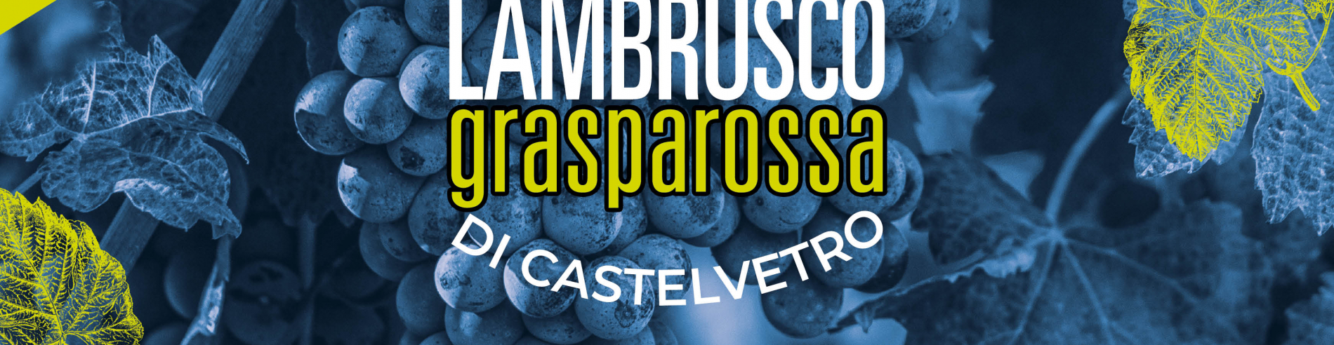 WEEKEND DEL GUSTO A CASTELVETRO DI MODENA: SAGRA DELL'UVA E DEL LAMBRUSCO GRASPAROSSA 2023